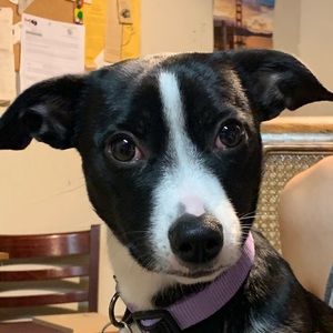 Meet your Posher, Melanie